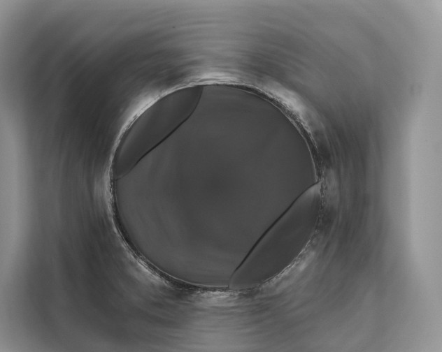 X0000112201373200908281431