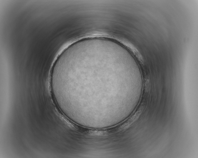 X0000112201374200908281431