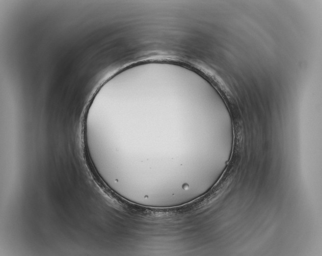 X0000112201375200908281431