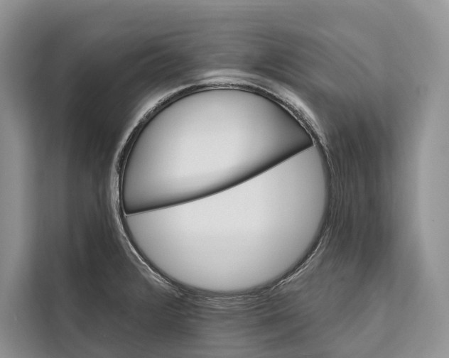 X0000112201376200908281431