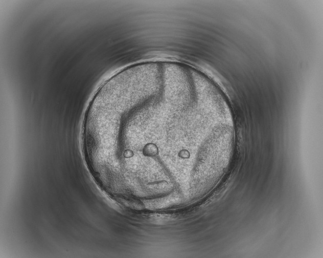 X0000112201379200908281431