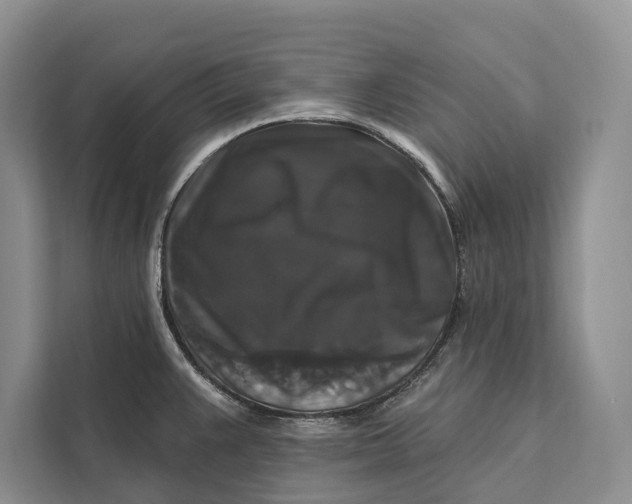 X0000112201383200908281431