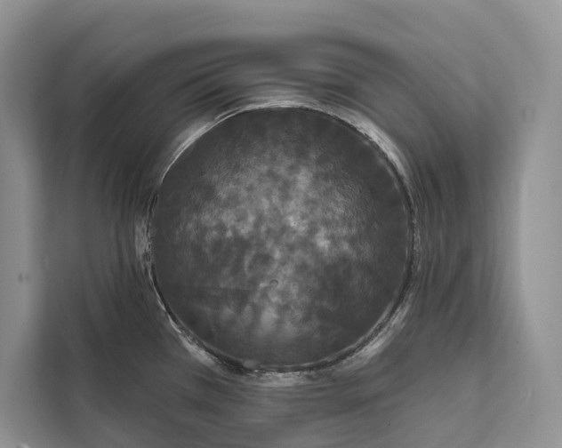 X0000112201385200908281430