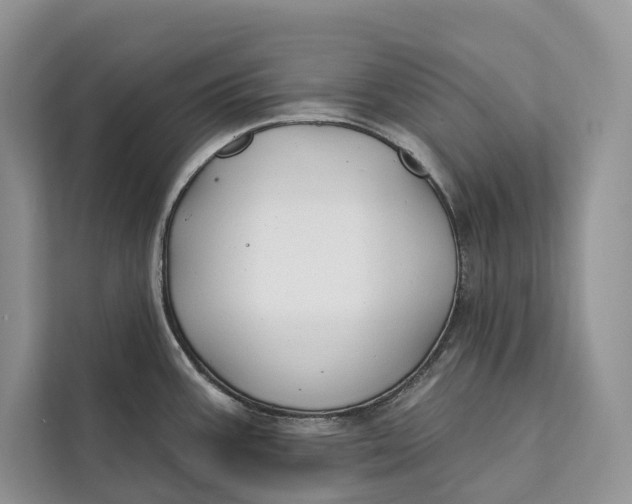 X0000112201387200908281430