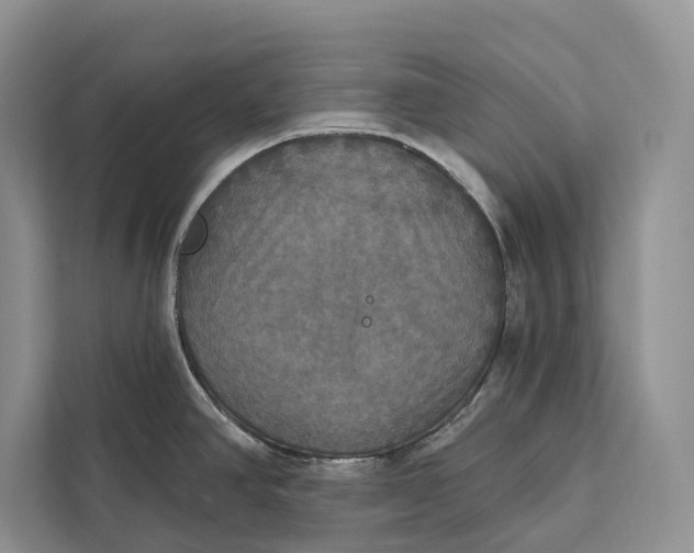 X0000112201390200908281430