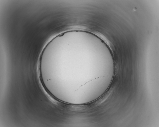 X0000112201391200908281430