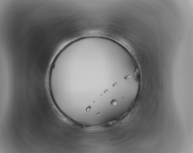 X0000112201392200908281430