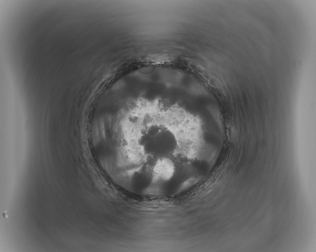 X0000112201393200908281430