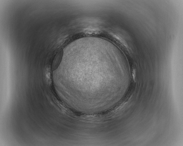 X0000112201396200908281430