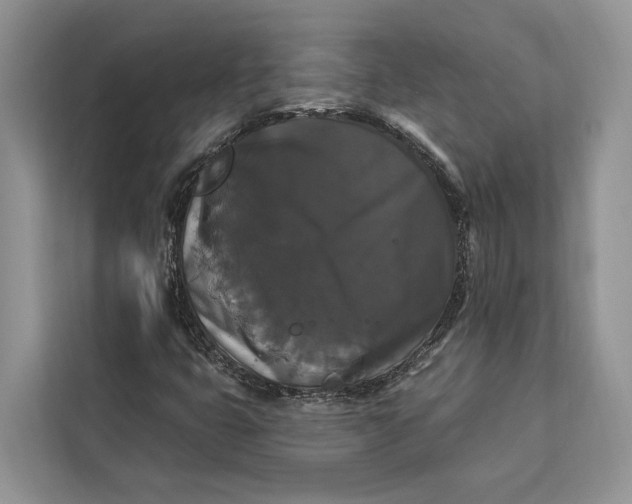 X0000112201399200908281430