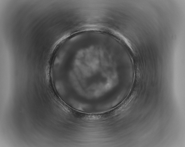 X0000112201411200908281430