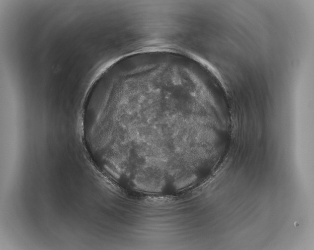 X0000112201415200908281430