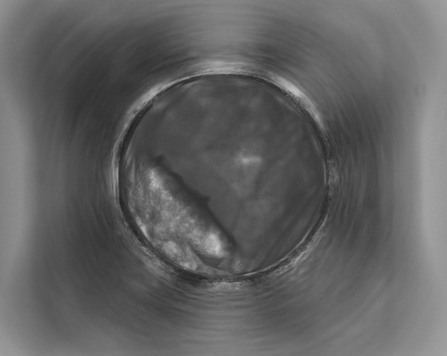 X0000112201419200908281430