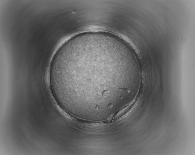 X0000112201421200908281430