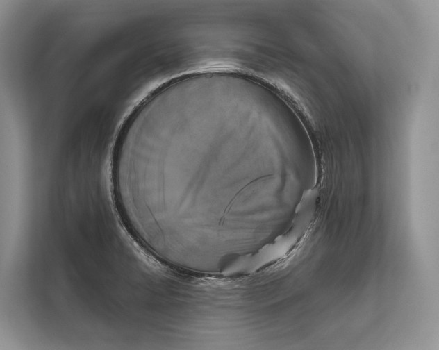 X0000112201422200908281430