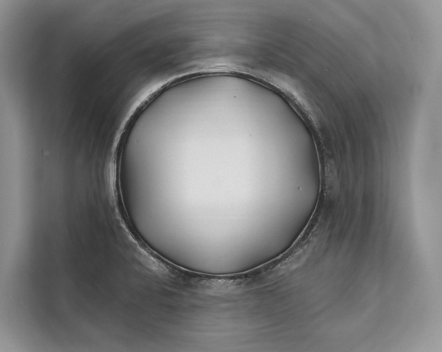 X0000112201424200908281430