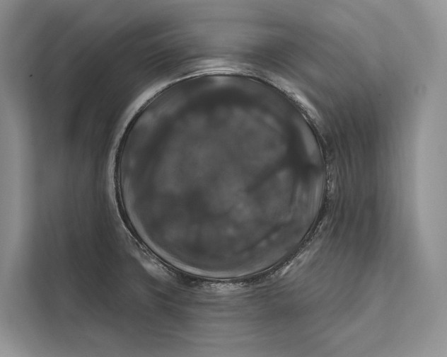 X0000112201427200908281430