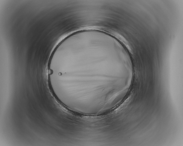 X0000112201428200908281430