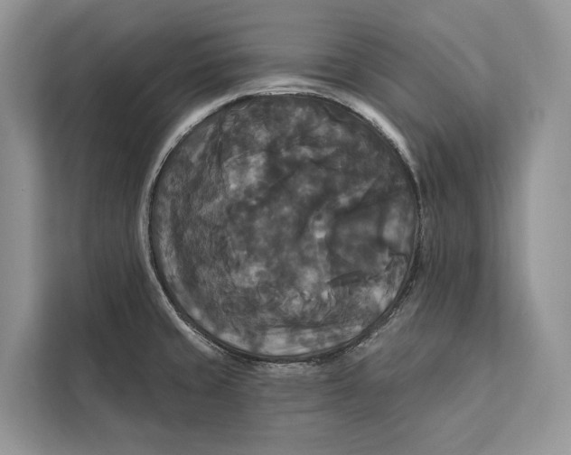 X0000112201429200908281430