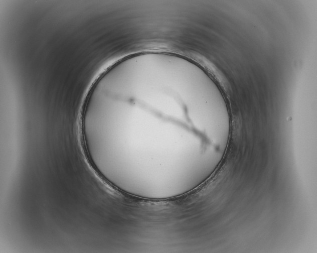 X0000112201432200908281430