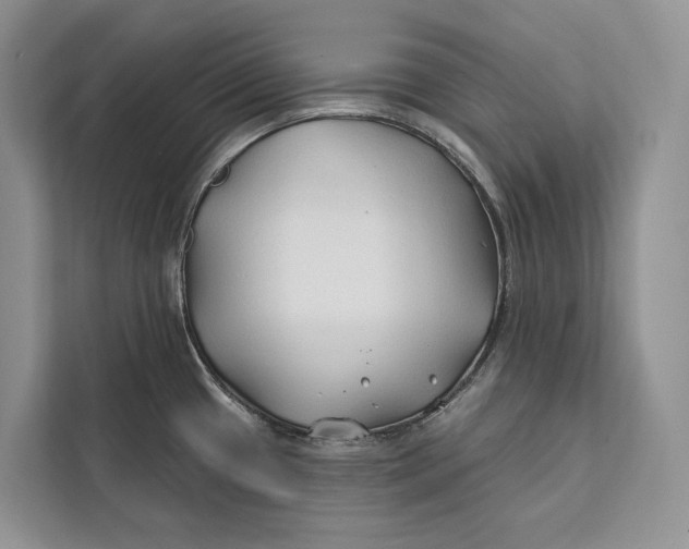 X0000112201433200908281430