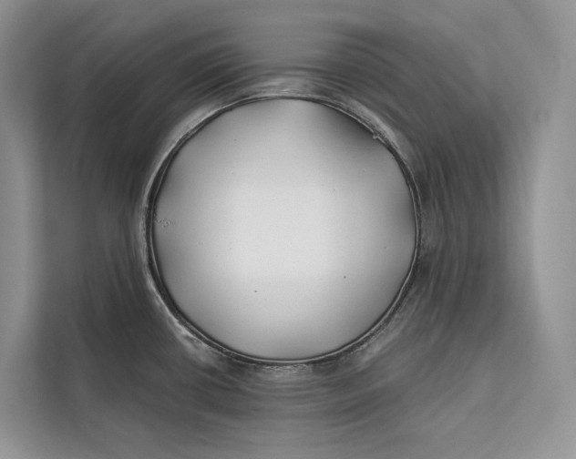 X0000112201434200908281430