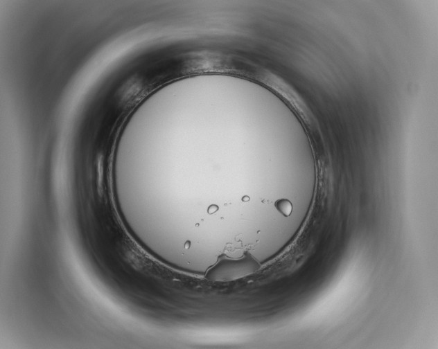 X0000112201439200908281430