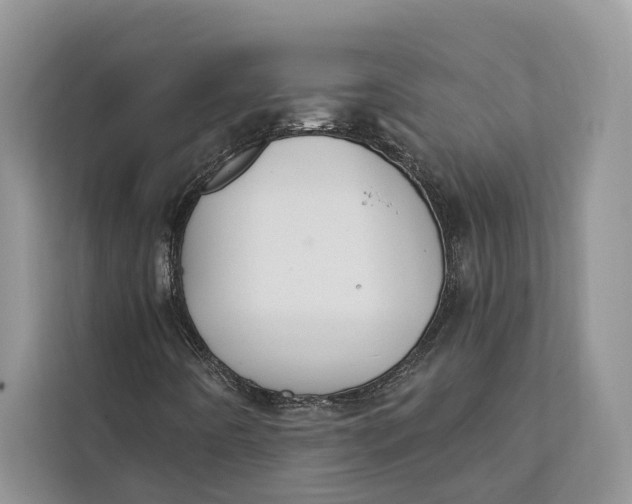 X0000112201442200908281430