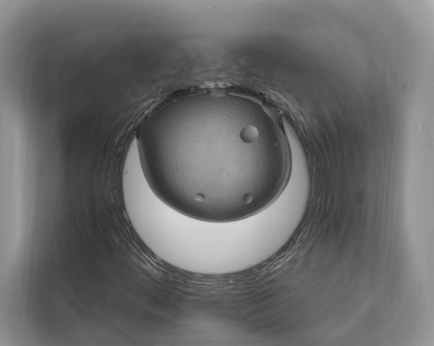 X0000112201444200908281430