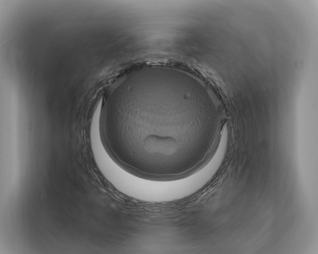 X0000112201445200908281430