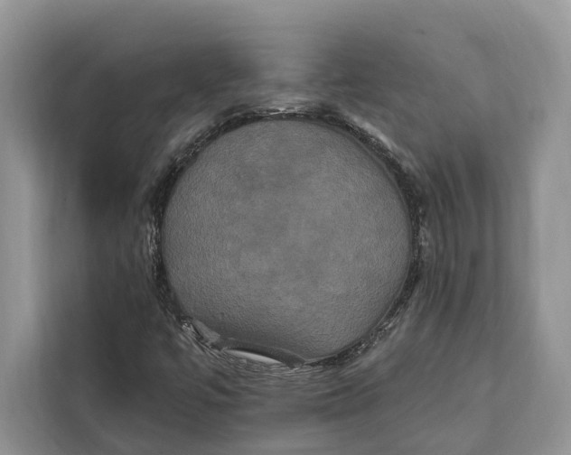 X0000112201447200908281430