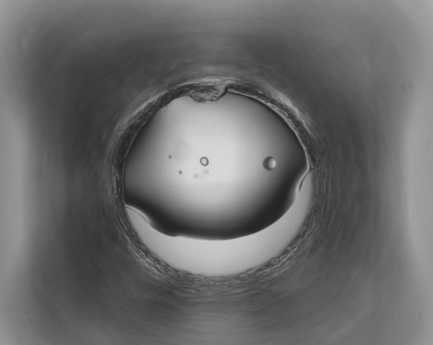 X0000112201448200908281430