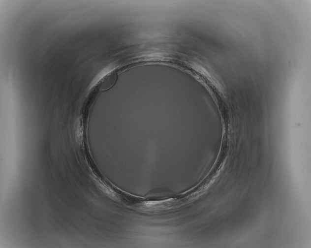 X0000112201450200908281430