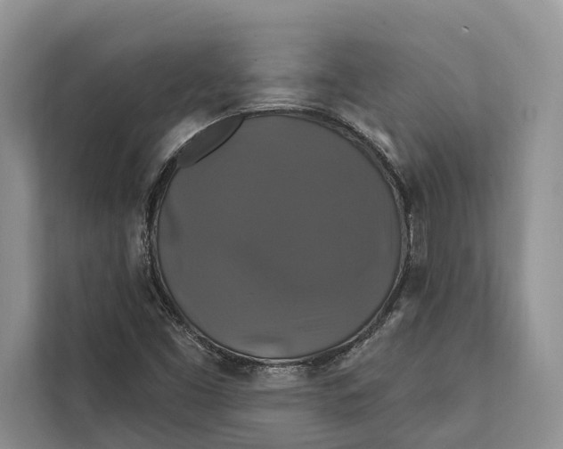 X0000112201453200908281430