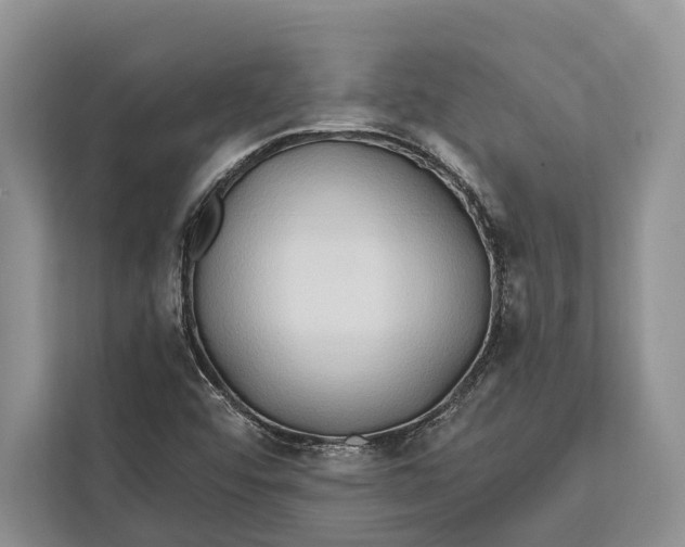 X0000112201456200908281430