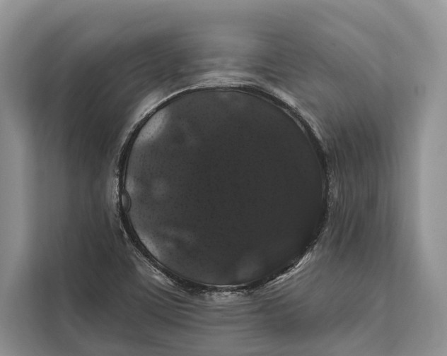 X0000112201459200908281430