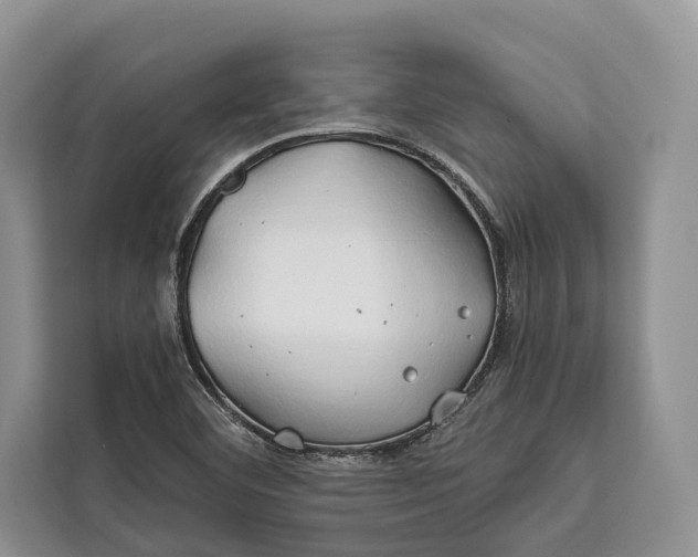 X0000112201460200908281430