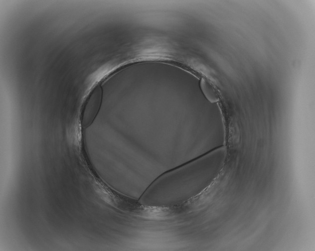 X0000112201461200908281429