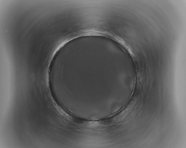 X0000112201463200908281429