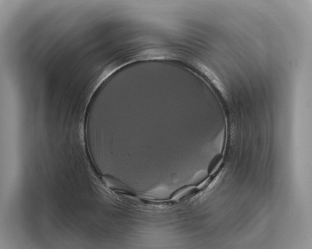 X0000112201465200908281429