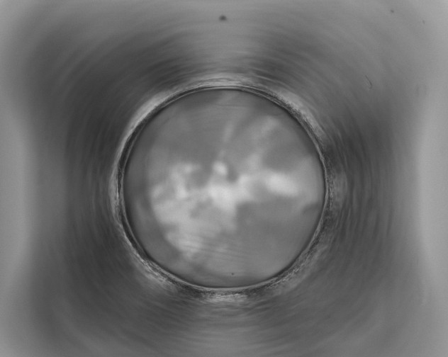 X0000112201466200908281429