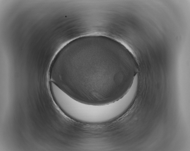 X0000112201468200908281429