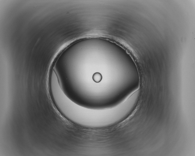 X0000112201469200908281429