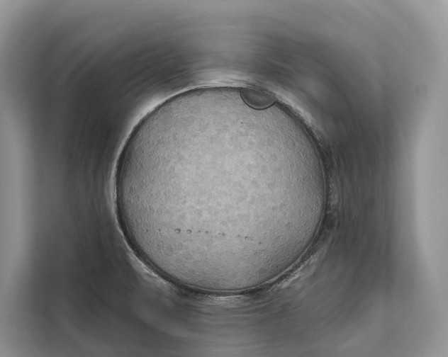 X0000112201471200908281429