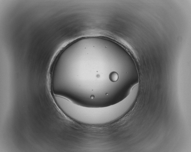 X0000112201472200908281429