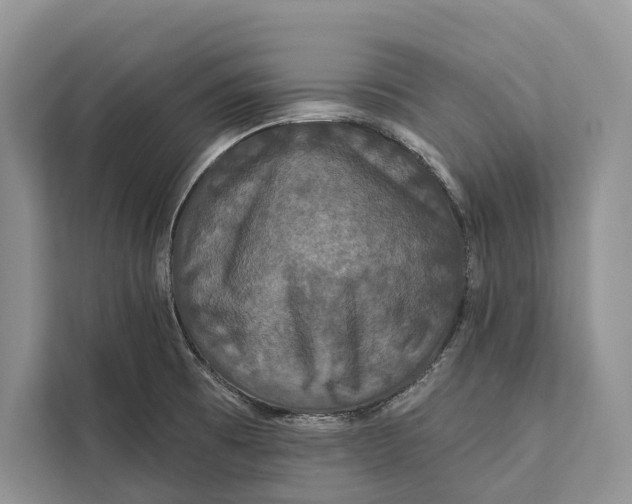 X0000112201473200908281429