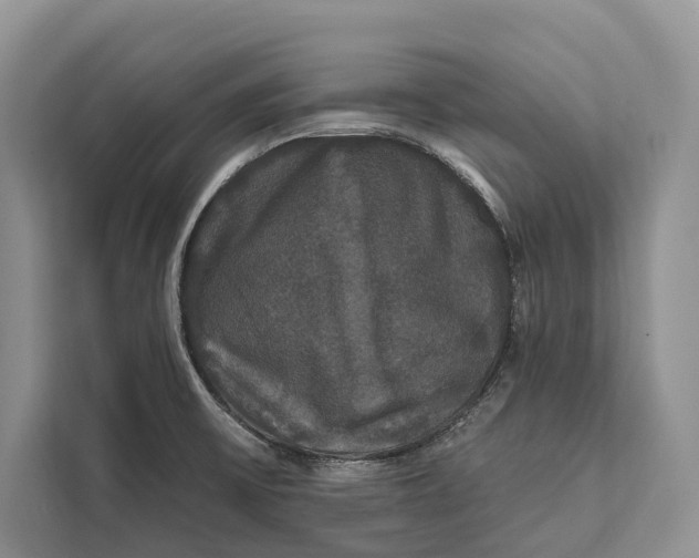 X0000112201475200908281429