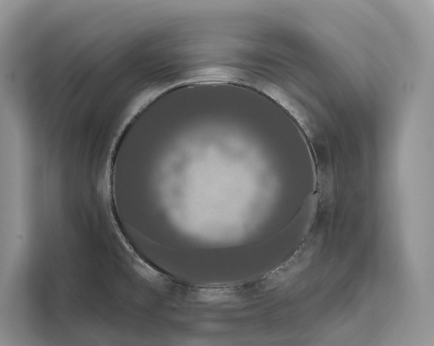 X0000112201477200908281429