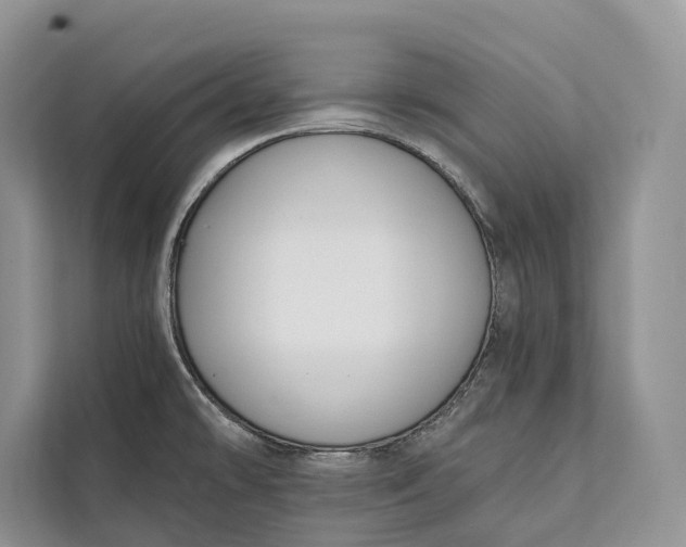 X0000112201478200908281429