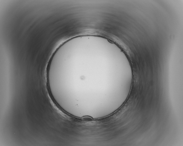 X0000112201479200908281429